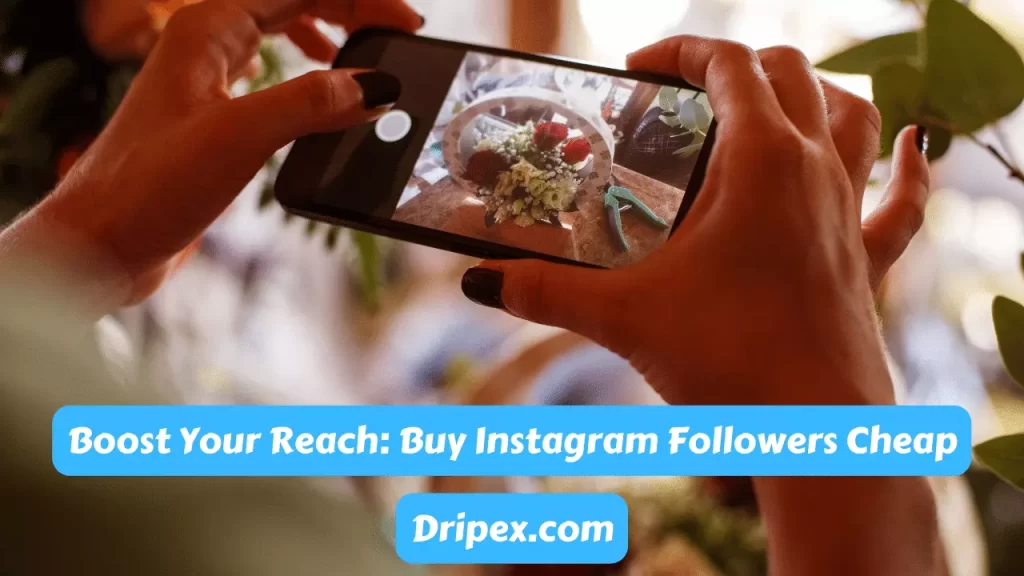 Boost Your Reach Buy Instagram Followers Cheap