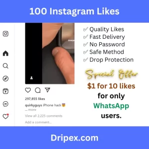 Buy 100 Instagram Likes ~ $6.00 – $30.00 USD