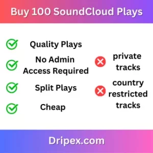 100 SoundCloud Plays