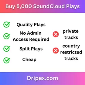 5,000 SoundCloud Plays