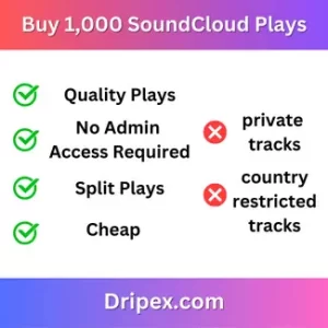 Buy 1,000 SoundCloud Plays