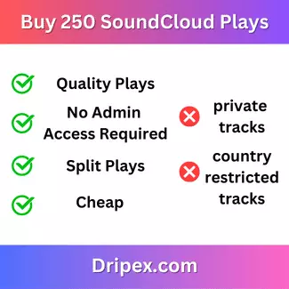 Buy 250 SoundCloud Plays ~ $5.00 – $29.00 USD
